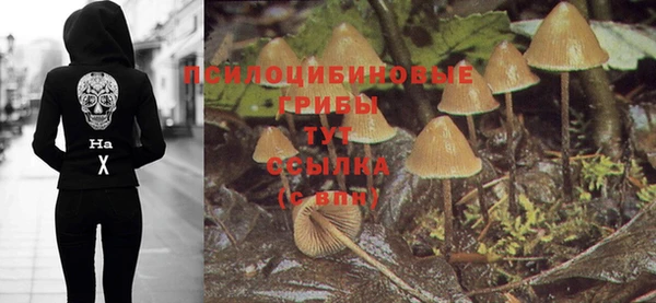 круглые Гусь-Хрустальный
