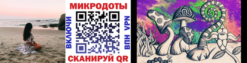 цена наркотик  MEGA tor  Галлюциногенные грибы прущие грибы  Евпатория 